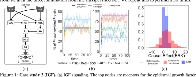 Figure 1 for Integrating Markov processes with structural causal modeling enables counterfactual inference in complex systems