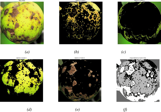 Figure 3 for Adapted Approach for Fruit Disease Identification using Images