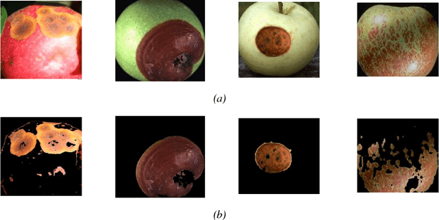 Figure 4 for Adapted Approach for Fruit Disease Identification using Images