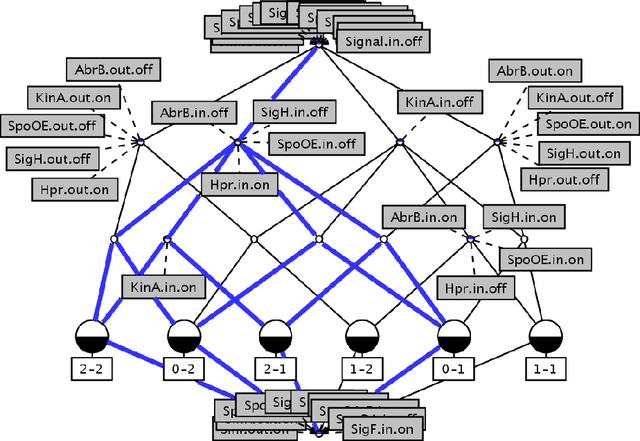 Figure 2 for Constructing a Knowledge Base for Gene Regulatory Dynamics by Formal Concept Analysis Methods
