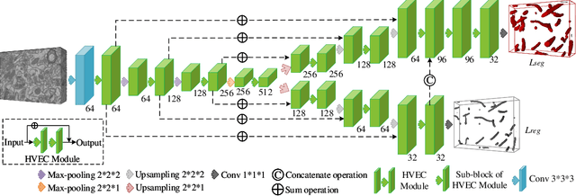 Figure 1 for EM-NET: Centerline-Aware Mitochondria Segmentation in EM Images via Hierarchical View-Ensemble Convolutional Network
