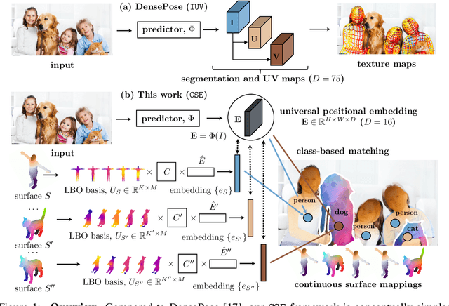 Figure 1 for Continuous Surface Embeddings