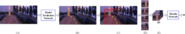 Figure 2 for Perceptual Attention-based Predictive Control