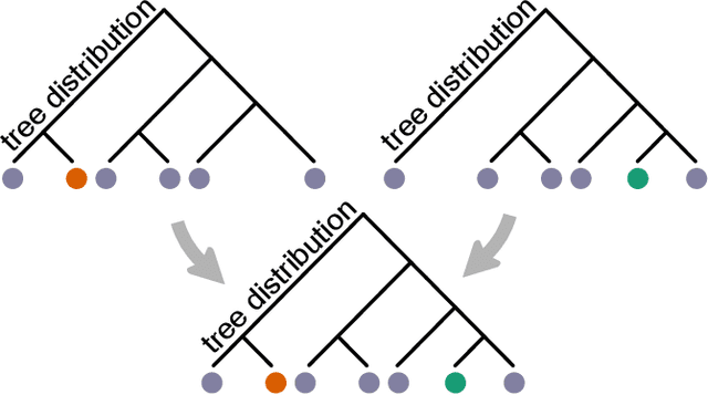 Figure 1 for Variational Bayesian Supertrees