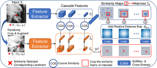 Figure 1 for Relative distance matters for one-shot landmark detection