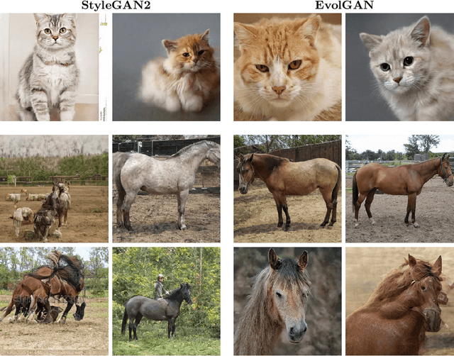 Figure 1 for EvolGAN: Evolutionary Generative Adversarial Networks