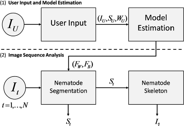 Figure 3 for Multi-environment model estimation for motility analysis of Caenorhabditis Elegans