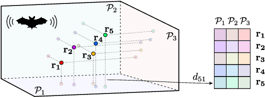 Figure 1 for Omnidirectional Bats, Point-to-Plane Distances, and the Price of Uniqueness