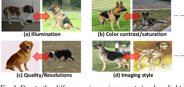 Figure 1 for Style Normalization and Restitution for DomainGeneralization and Adaptation