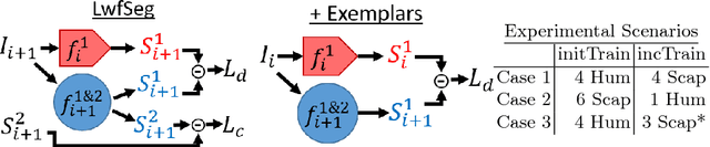 Figure 3 for Learn the new, keep the old: Extending pretrained models with new anatomy and images