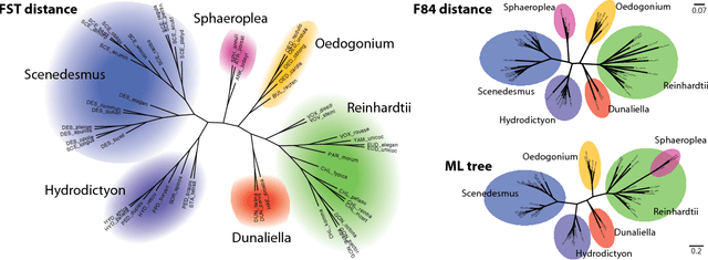 Figure 3 for Evolutionary distances in the twilight zone -- a rational kernel approach