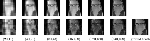 Figure 3 for Can Un-trained Neural Networks Compete with Trained Neural Networks at Image Reconstruction?