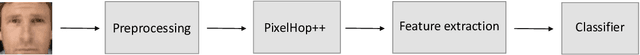 Figure 1 for FaceHop: A Light-Weight Low-Resolution Face Gender Classification Method