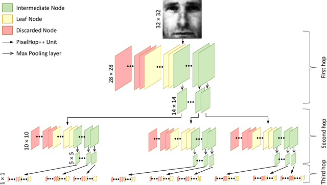 Figure 3 for FaceHop: A Light-Weight Low-Resolution Face Gender Classification Method