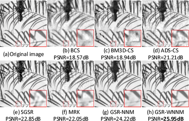 Figure 4 for Analyzing the Weighted Nuclear Norm Minimization and Nuclear Norm Minimization based on Group Sparse Representation