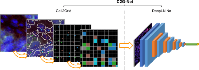 Figure 1 for C2G-Net: Exploiting Morphological Properties for Image Classification