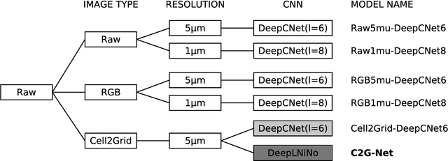 Figure 3 for C2G-Net: Exploiting Morphological Properties for Image Classification