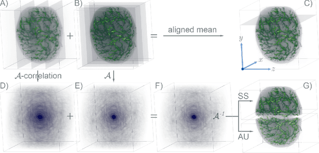 Figure 1 for Beyond multi-view deconvolution for inherently-aligned fluorescence tomography