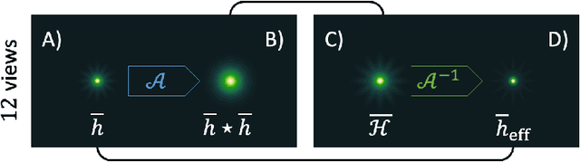 Figure 2 for Beyond multi-view deconvolution for inherently-aligned fluorescence tomography