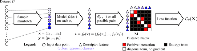 Figure 1 for Simple and Effective Balance of Contrastive Losses