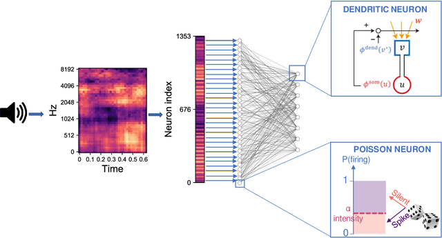 Figure 1 for Modeling the Repetition-based Recovering of Acoustic and Visual Sources with Dendritic Neurons