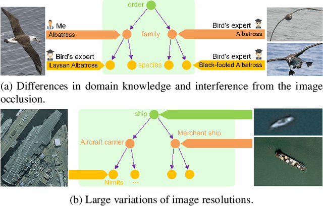 Figure 1 for Label Relation Graphs Enhanced Hierarchical Residual Network for Hierarchical Multi-Granularity Classification