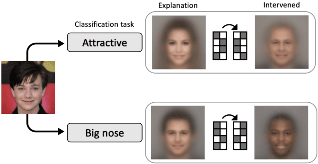 Figure 1 for Latent Space Explanation by Intervention