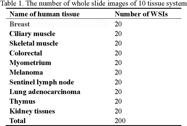 Figure 1 for Multi-scale super-resolution generation of low-resolution scanned pathological images