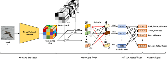 Figure 3 for DProtoNet: Decoupling the inference module and the explanation module enables neural networks to have better accuracy and interpretability