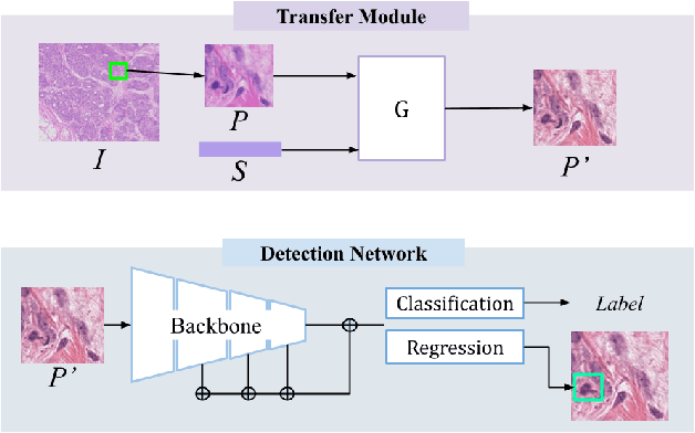 Figure 1 for Domain-Robust Mitotic Figure Detection with Style Transfer