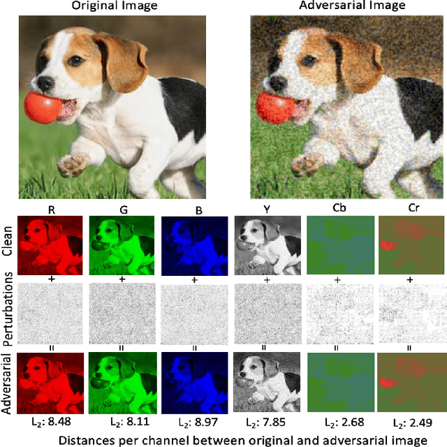 Figure 1 for Adversarial Perturbations Prevail in the Y-Channel of the YCbCr Color Space