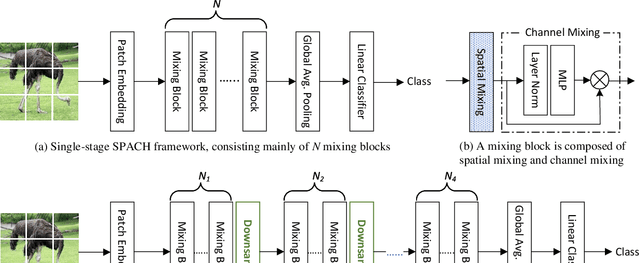 Figure 1 for A Battle of Network Structures: An Empirical Study of CNN, Transformer, and MLP