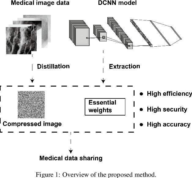 Figure 1 for Compressed Gastric Image Generation Based on Soft-Label Dataset Distillation for Medical Data Sharing
