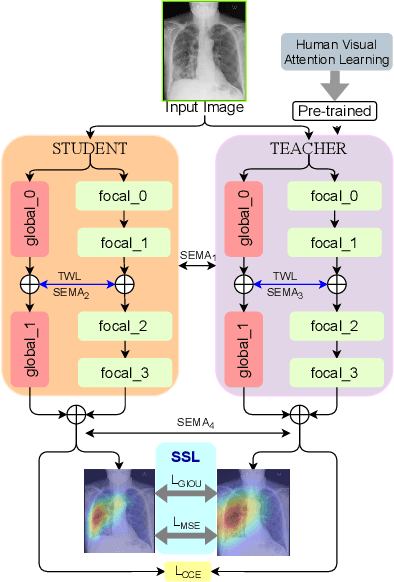 Figure 3 for RadioTransformer: A Cascaded Global-Focal Transformer for Visual Attention-guided Disease Classification
