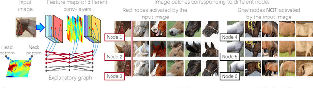 Figure 1 for Explanatory Graphs for CNNs