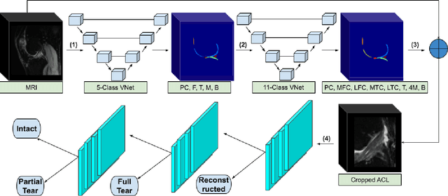 Figure 1 for Hierarchical Severity Staging of Anterior Cruciate Ligament Injuries using Deep Learning with MRI Images