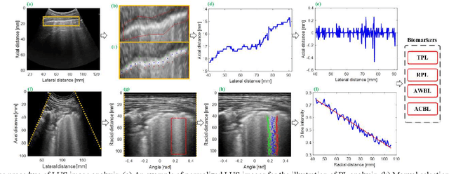 Figure 1 for A semi-automatic ultrasound image analysis system for the grading diagnosis of COVID-19 pneumonia