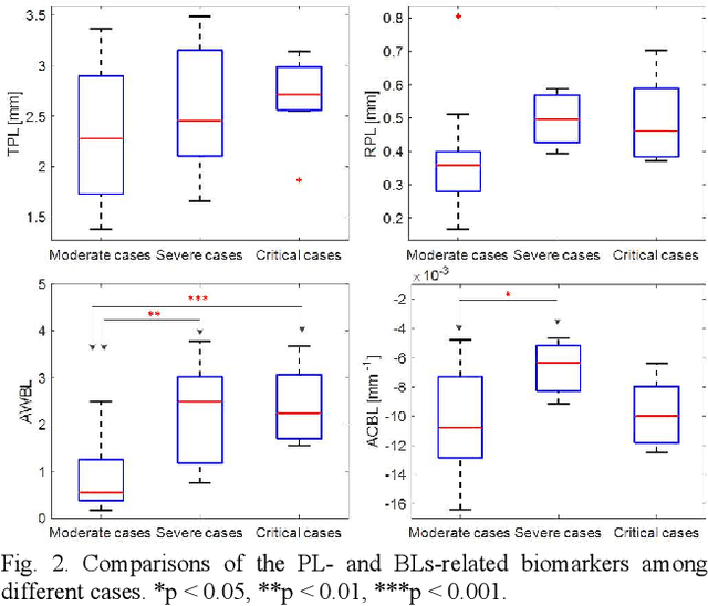 Figure 2 for A semi-automatic ultrasound image analysis system for the grading diagnosis of COVID-19 pneumonia