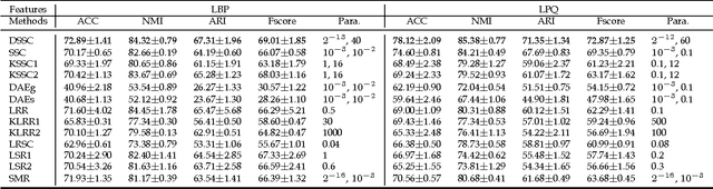 Figure 3 for Deep Sparse Subspace Clustering