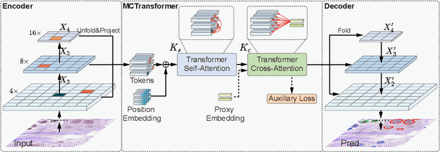 Figure 3 for Multi-Compound Transformer for Accurate Biomedical Image Segmentation