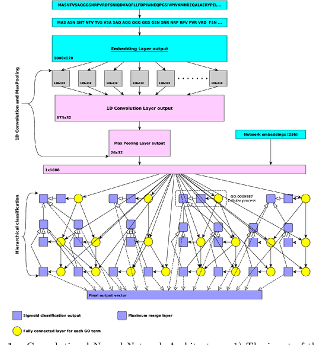 Figure 1 for DeepGO: Predicting protein functions from sequence and interactions using a deep ontology-aware classifier