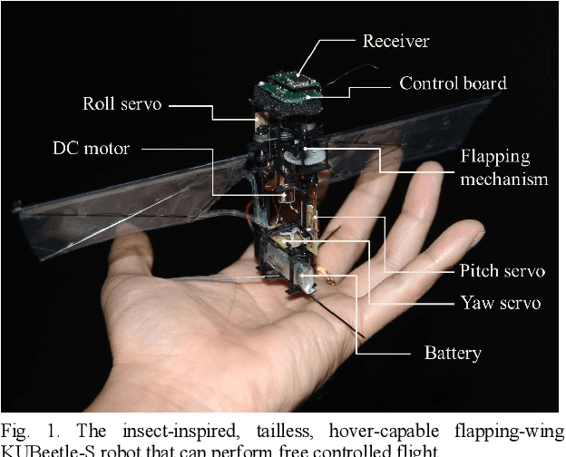 Figure 1 for Towards Long-Endurance Flight of an Insect-Inspired, Tailless, Two-Winged, Flapping-Wing Flying Robot