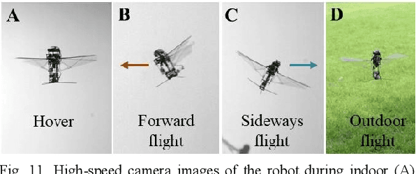 Figure 3 for Towards Long-Endurance Flight of an Insect-Inspired, Tailless, Two-Winged, Flapping-Wing Flying Robot