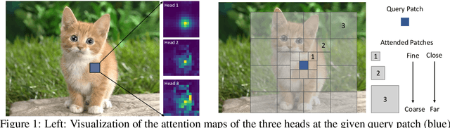 Figure 1 for Focal Self-attention for Local-Global Interactions in Vision Transformers