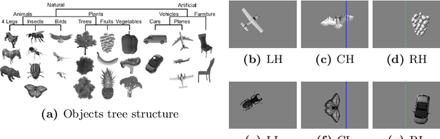 Figure 1 for Characterization of Visual Object Representations in Rat Primary Visual Cortex