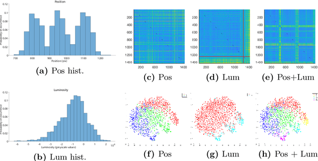 Figure 3 for Characterization of Visual Object Representations in Rat Primary Visual Cortex