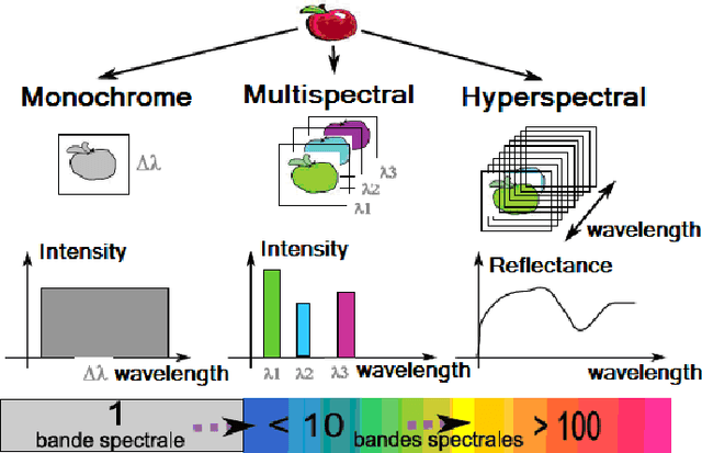 Figure 1 for Dimensionality Reduction and Classification Feature Using Mutual Information Applied to Hyperspectral Images: A Wrapper Strategy Algorithm Based on Minimizing the Error Probability Using the Inequality of Fano