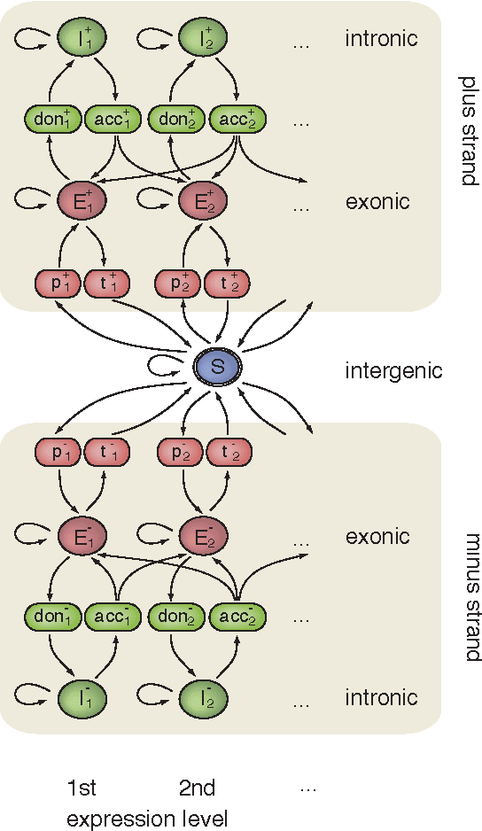 Figure 1 for mTim: Rapid and accurate transcript reconstruction from RNA-Seq data