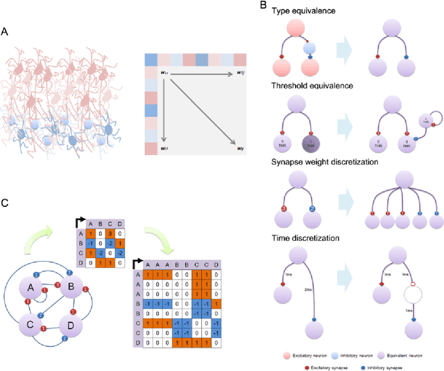 Figure 1 for The Intrinsic Properties of Brain Based on the Network Structure