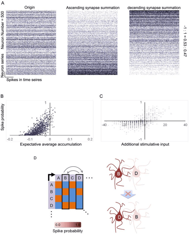 Figure 3 for The Intrinsic Properties of Brain Based on the Network Structure